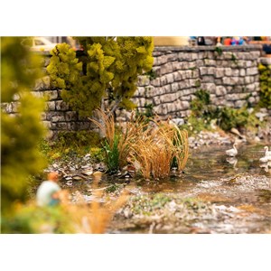 F181287 Trzcina wodna (22 szt.)