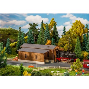 F222167  Lokomotywownia